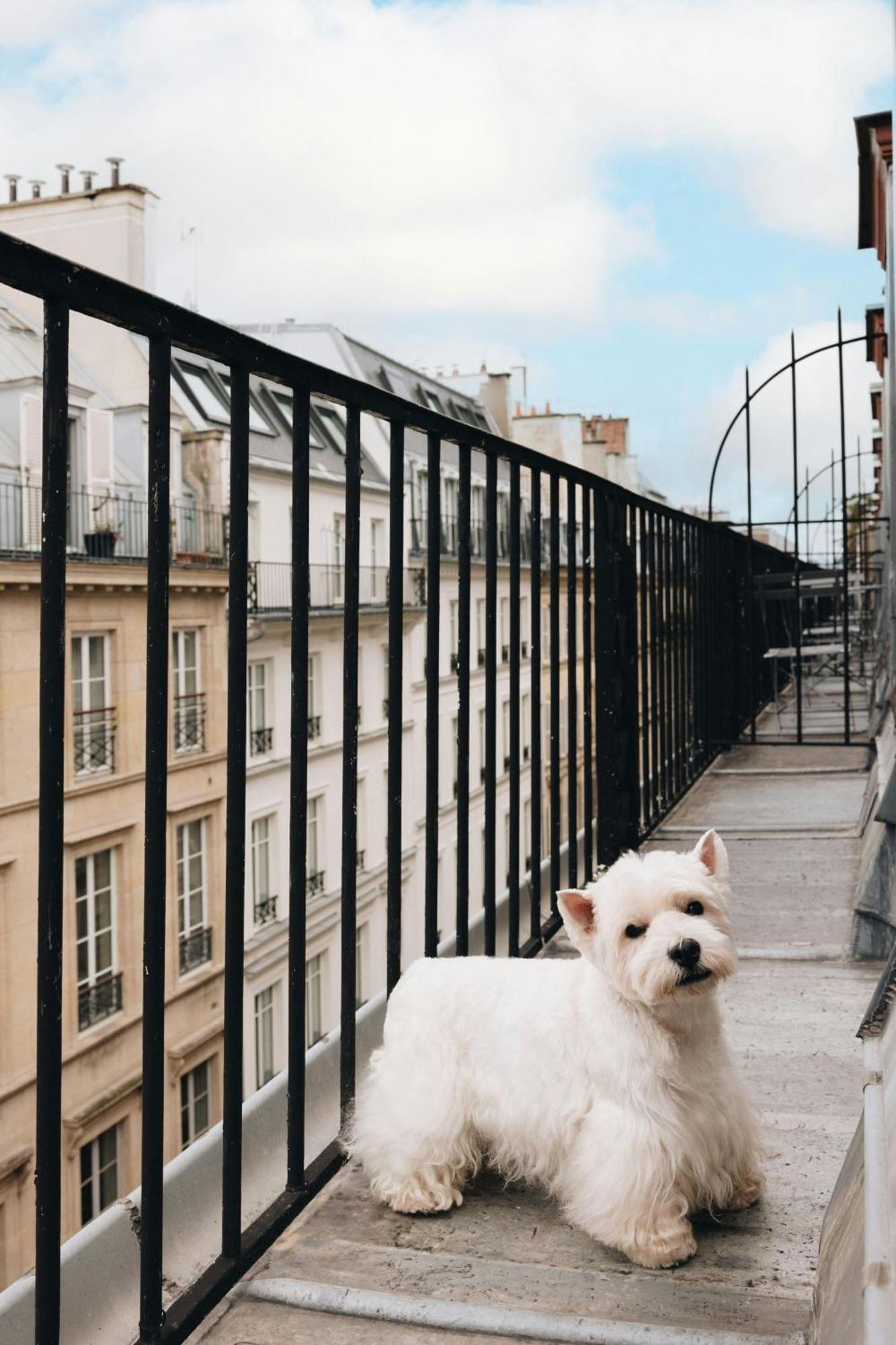 Renaissance Vendome Paris